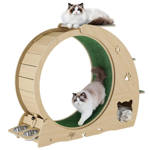 6-in-1 Large Cat Exercise Wheel & Activity Center