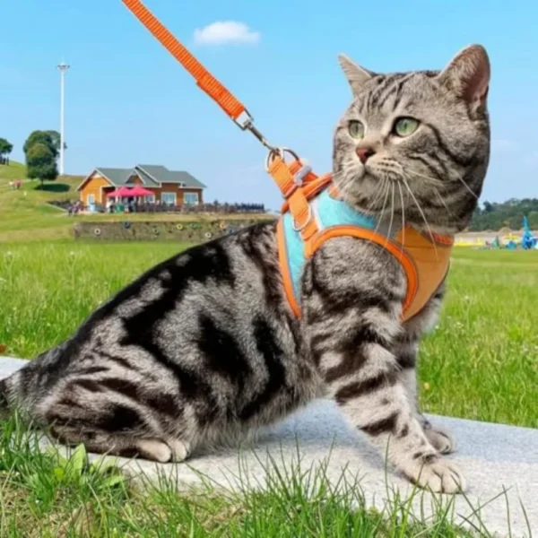 Cat Harness, Escape Proof Adjustable Vest