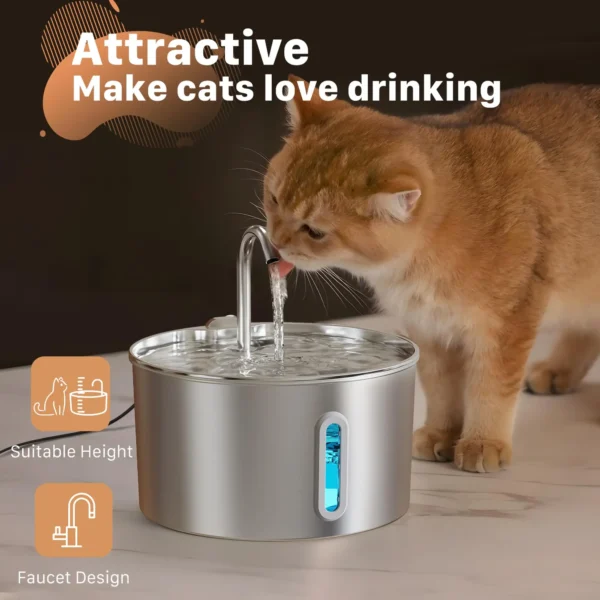Drinking Fountain Automatic Stainless Steel Water Dispenser